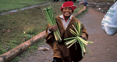 young boy laughing carrying reeds