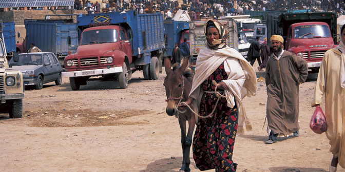 berber woman with donkey on the road